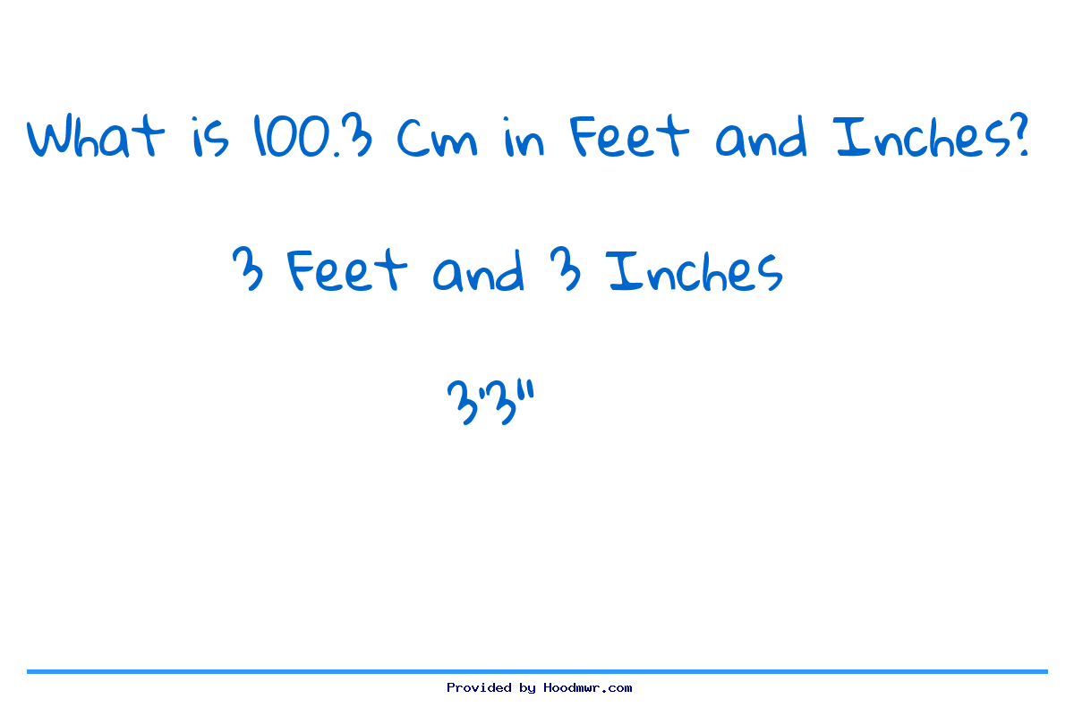 Answer for What is 100.3 CM in Feet and Inches?