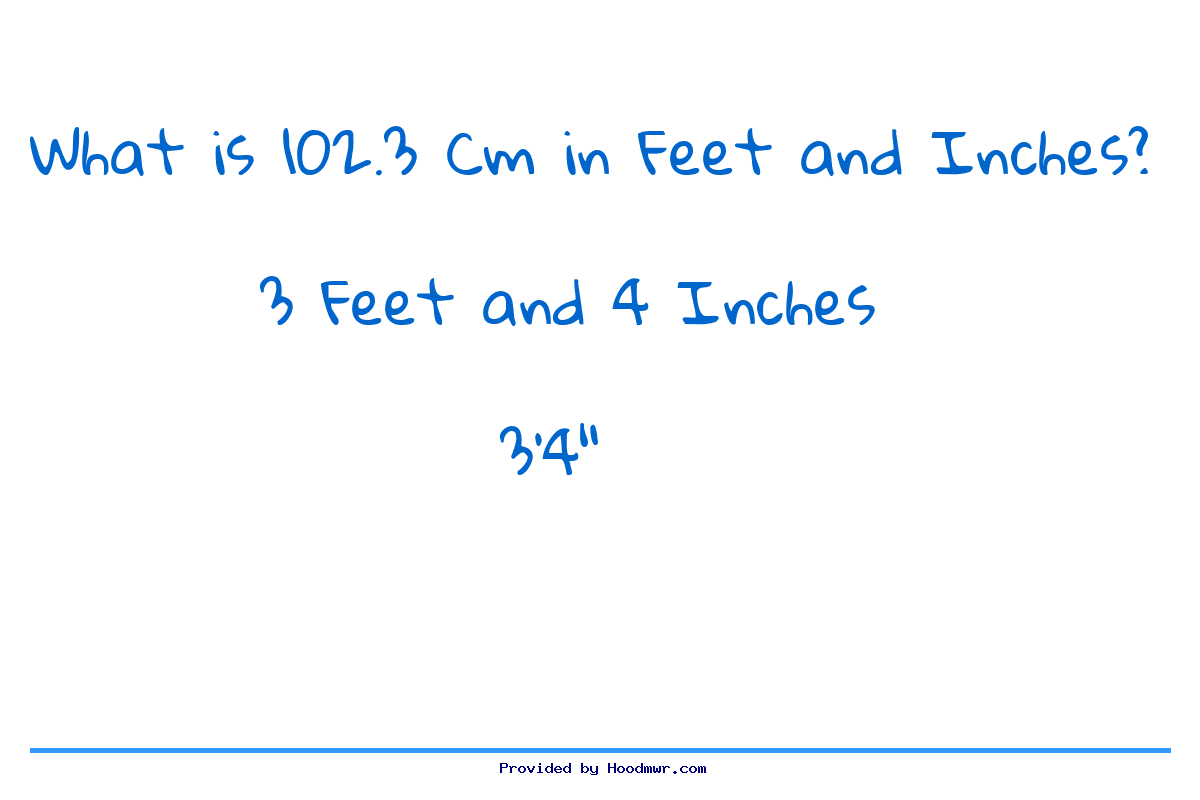 Answer for What is 102.3 CM in Feet and Inches?