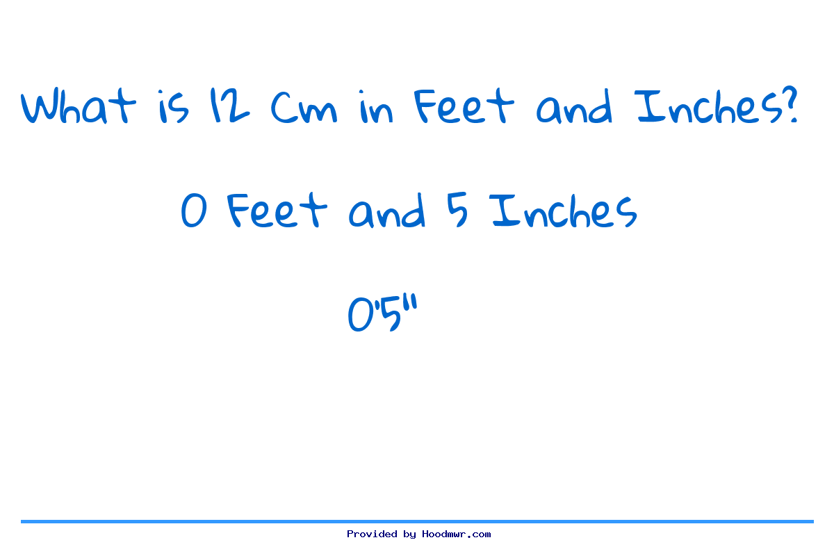 Answer for What is 12 CM in Feet and Inches?