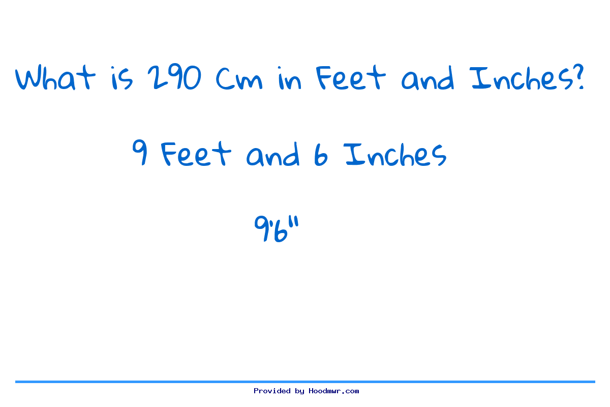 Answer for What is 290 CM in Feet and Inches?