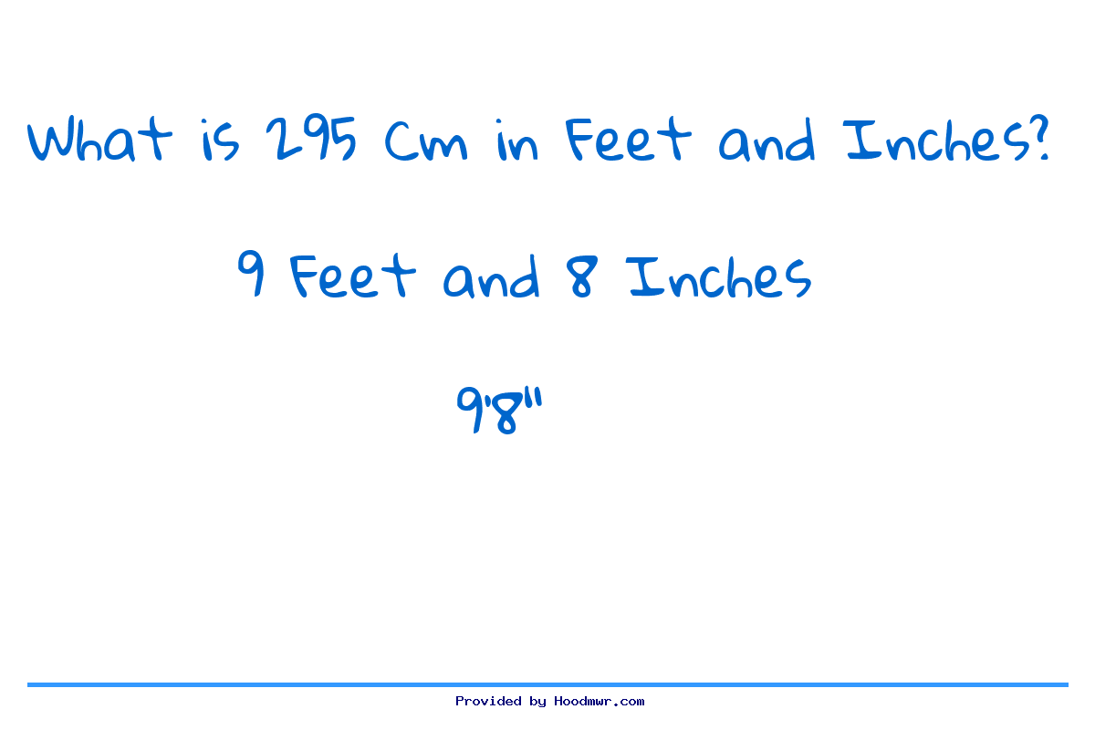 What Is 295 CM In Feet And Inches 