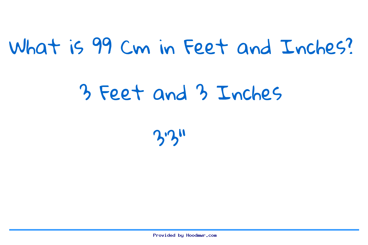 Answer for What is 99 CM in Feet and Inches?