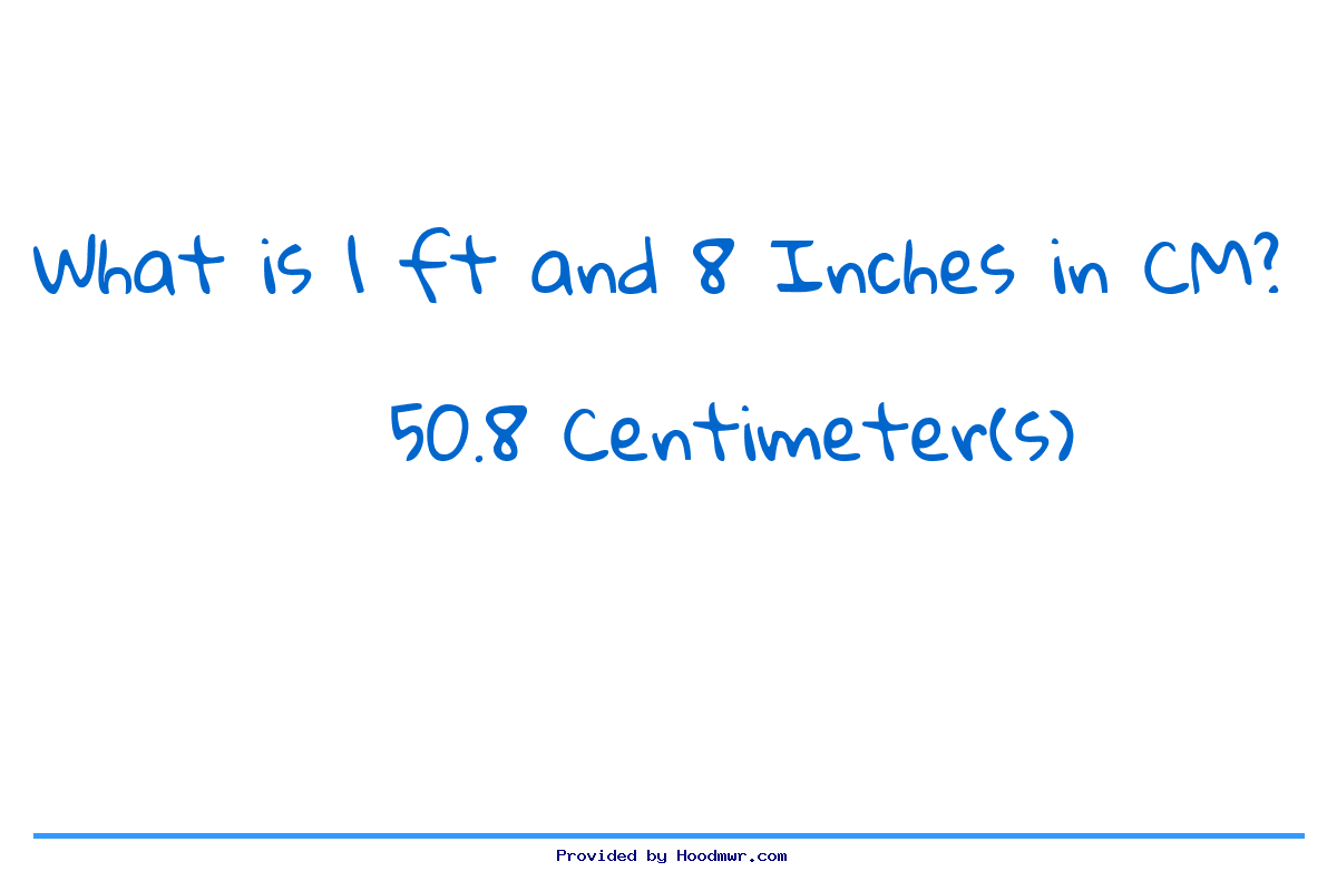 8 foot in centimetres on sale