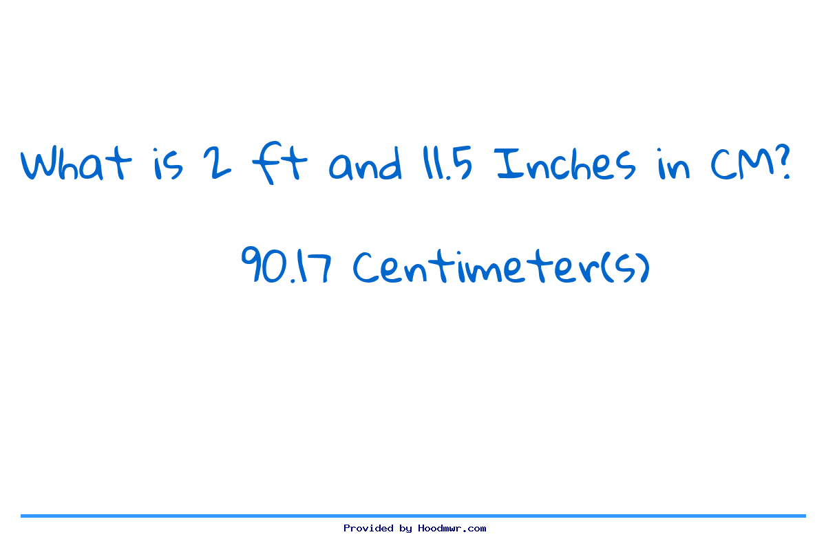 Answer for What is 2 Feet 11.5 Inches in Centimeters?