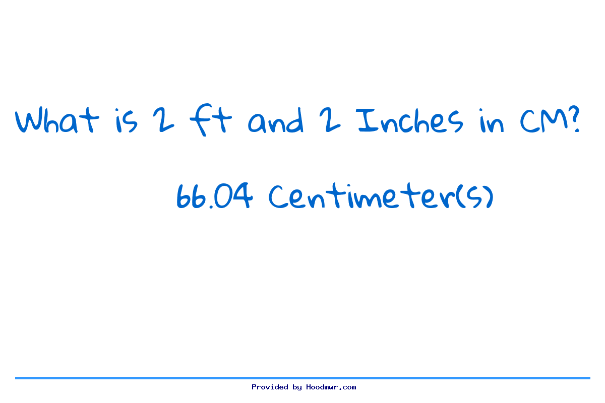 2 ft on sale in centimeters