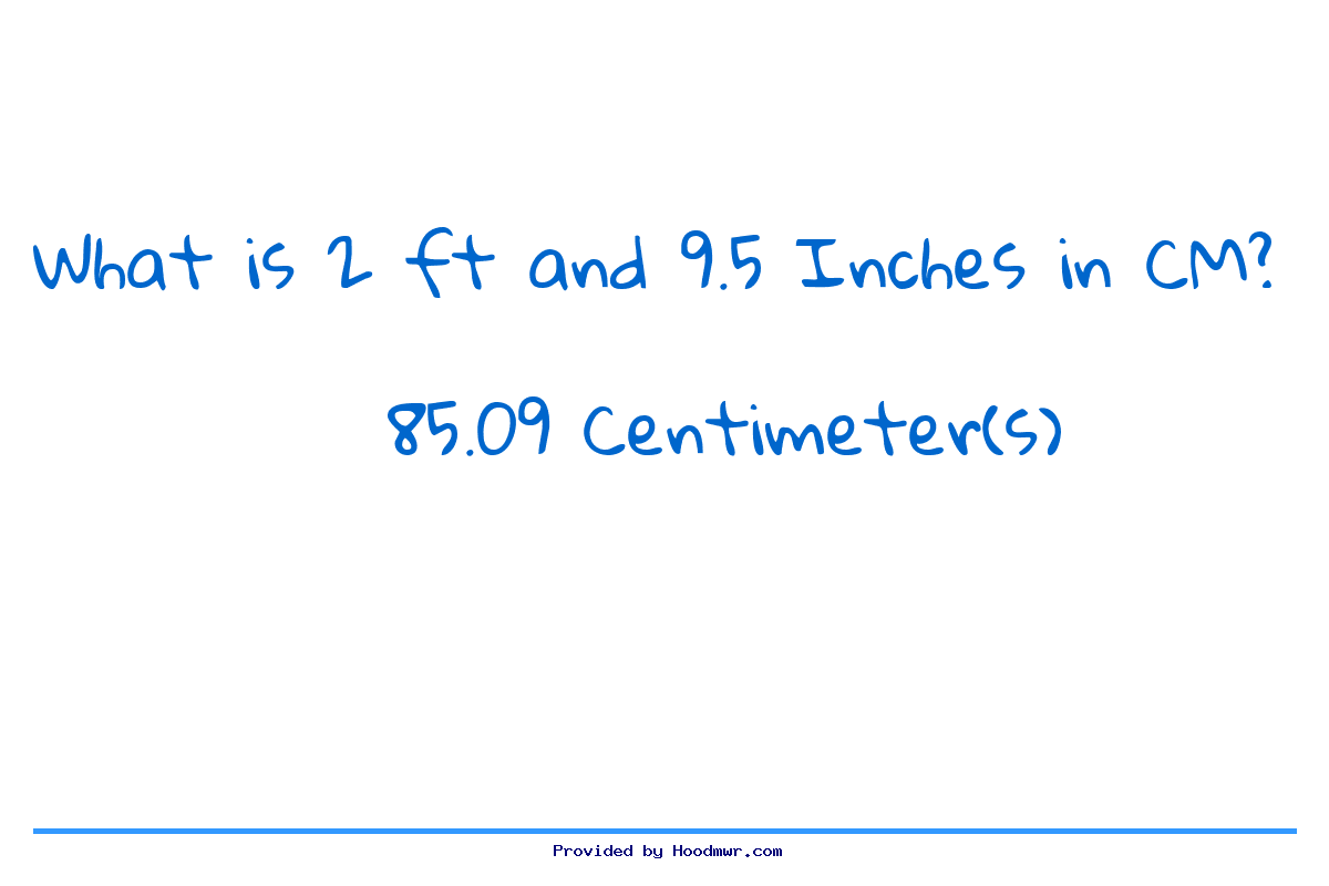 Answer for What is 2 Feet 9.5 Inches in Centimeters?