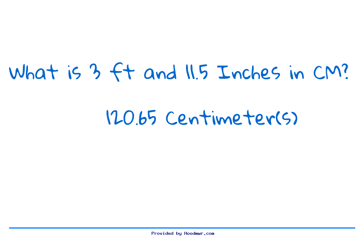 Answer for What is 3 Feet 11.5 Inches in Centimeters?