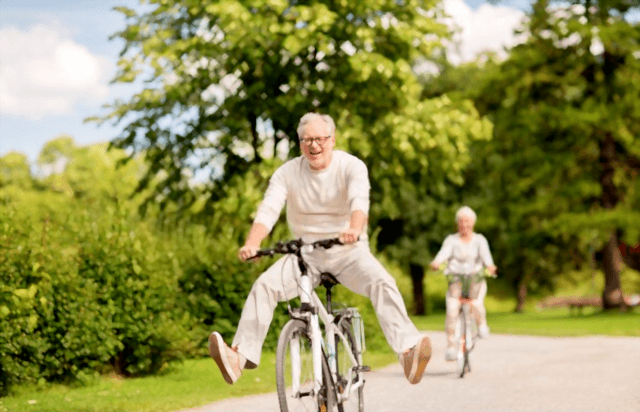 Top 15 Best Bicycles For Seniors Reviews 2020 Hoodmwr