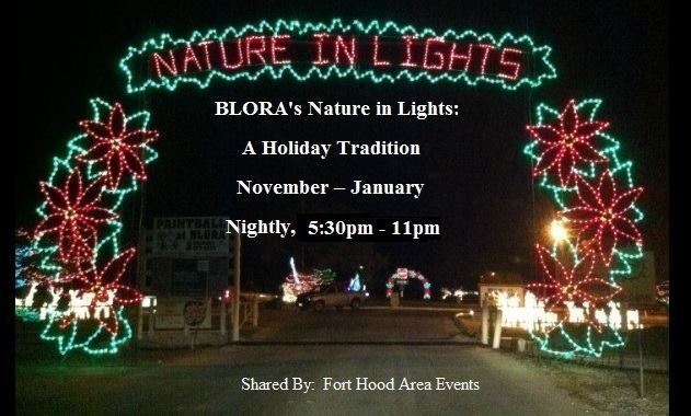 Blora Christmas Lights 2022 Top 30 Best Christmas Light Displays In America - Hoodmwr
