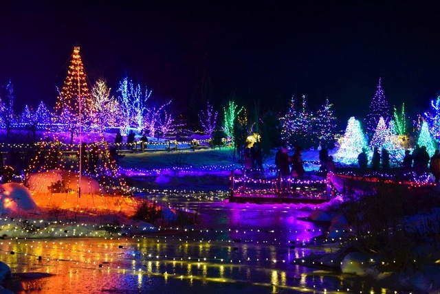 Annual Nature In Lights Display On Blora Now Open Military Kdhnews Com