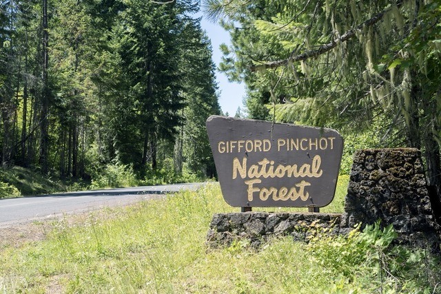 Gifford Pinchot National Forest Camping Hiking Hoodmwr