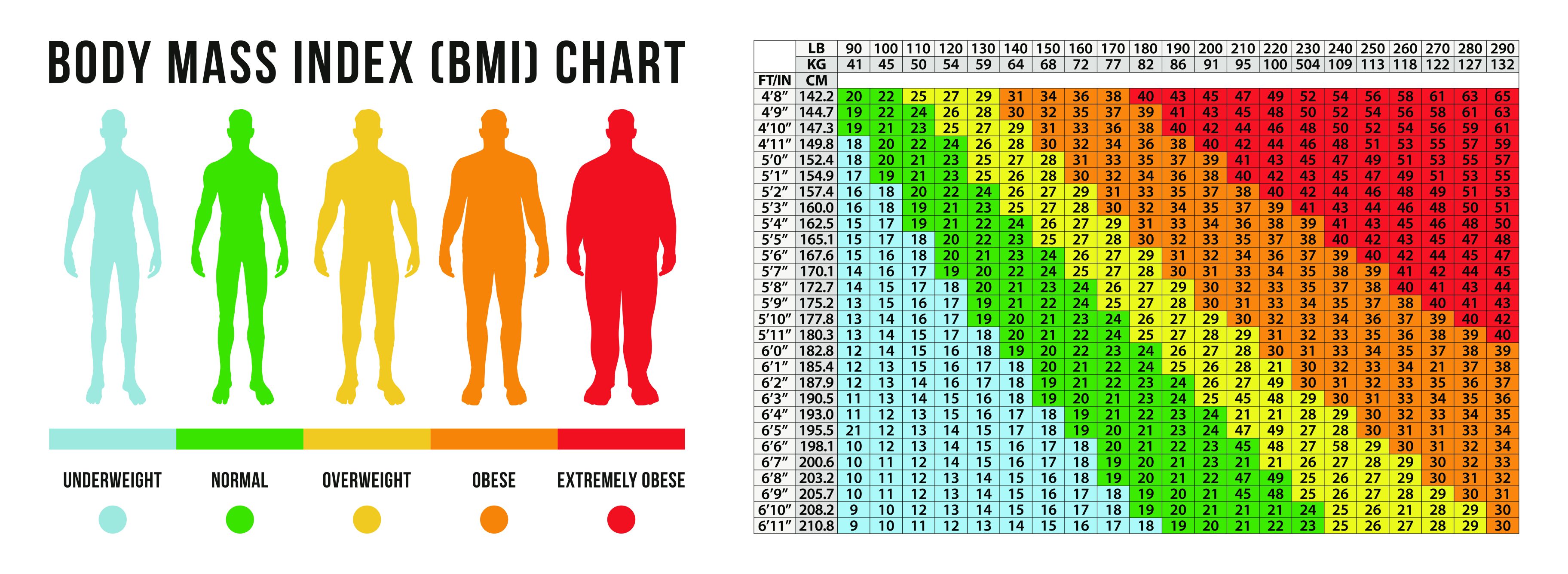 Miglioramento Non Pagato Riavvolgere Body Mass Index Chart Metric 