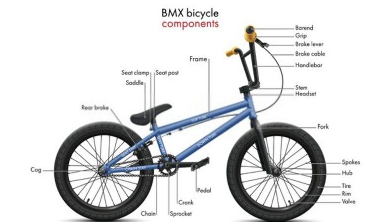 bmx age groups