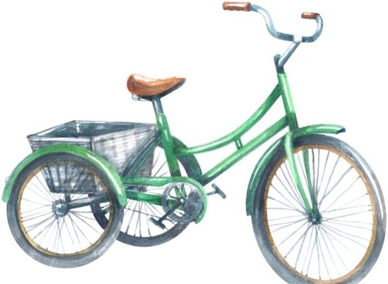 Where to Buy Used Adult Tricycles and What to Look for? Hood MWR