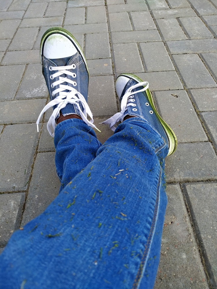 foretrække Stadion Excel How To Get Grass Stains Out Of Shoes Quickly? - HoodMWR