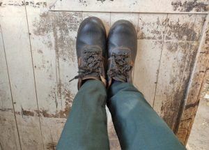 can you get oil out of suede shoes