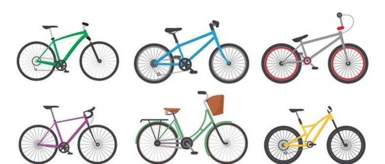 What's the Bike Type?