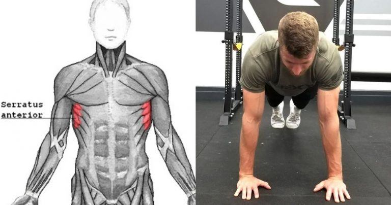 8 Simple Exercises To Strengthen Your Serratus Anterior Hood MWR 8-simple-exercises-to-strengthen-your-serratus-anterior-hood-mwr