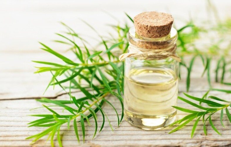 Tea Tree Oil