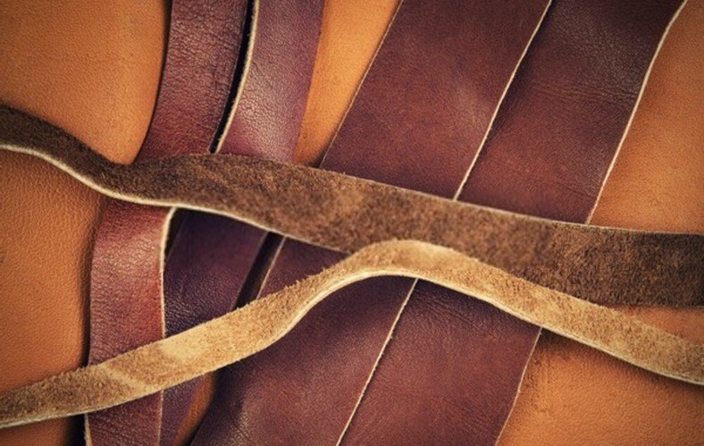 Strips of Leather (for Making Repairs)