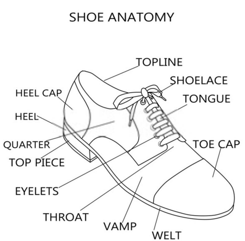  External Parts of the Shoe 