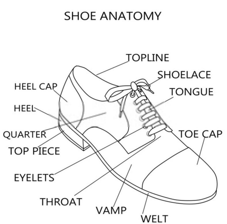 Parts of a Sneaker: What You Should Know About Your Shoes' Anatomy –  Footwear News