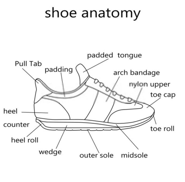  Internal Parts of the Shoe 