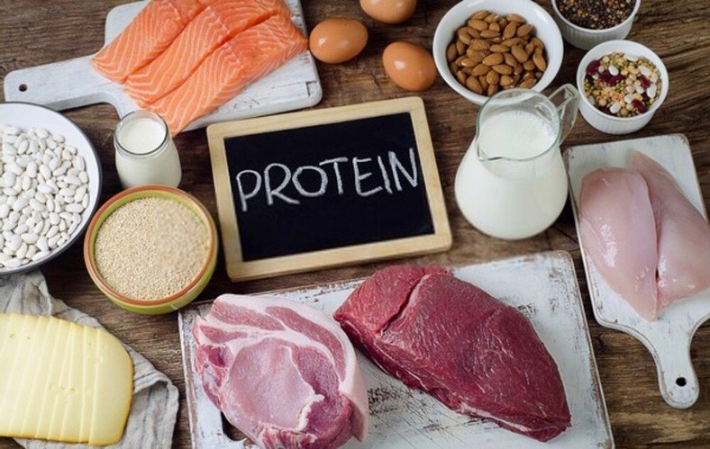 Protein 
