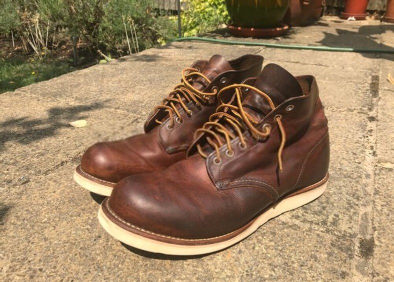  Red Wing vs. Wolverine – Quality 