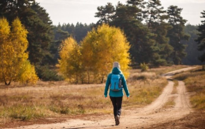 Hiking Clothing Color