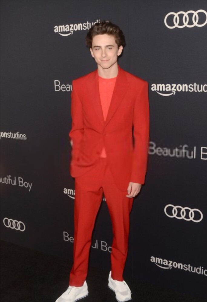 Unveiling Timothée Chalamet's Stature Chalamet Height In Feet