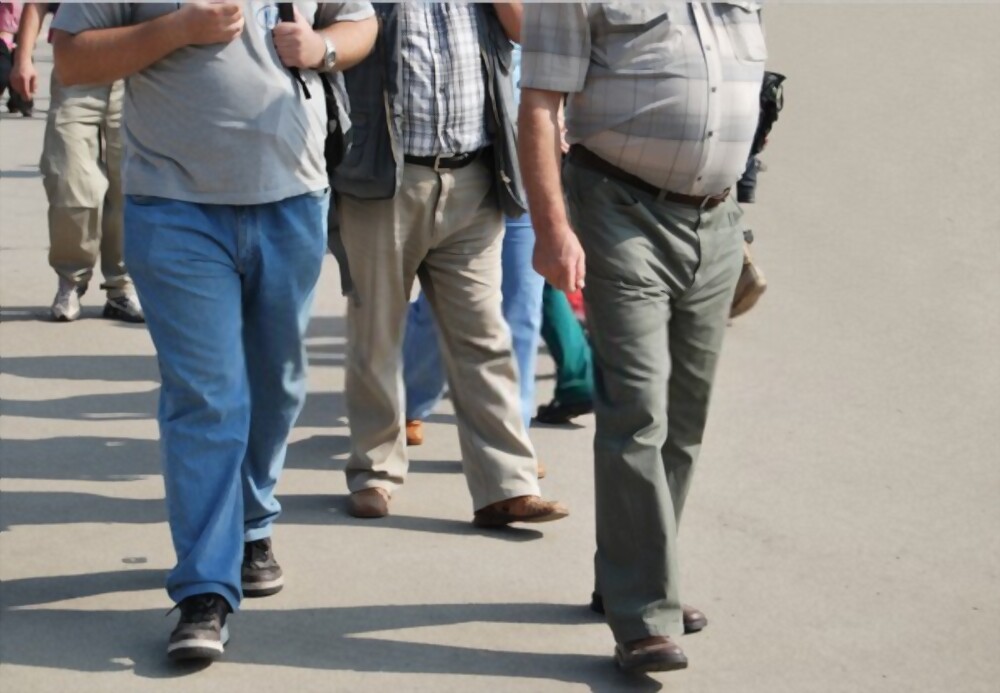 How Obesity Affects Fat People's Gaits
