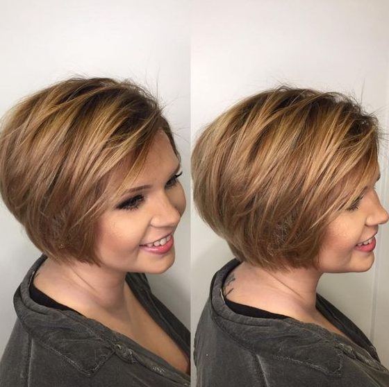 Dark Blonde Pixie Bob