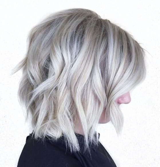 Fabulous Silver Blonde Pixie Bob
