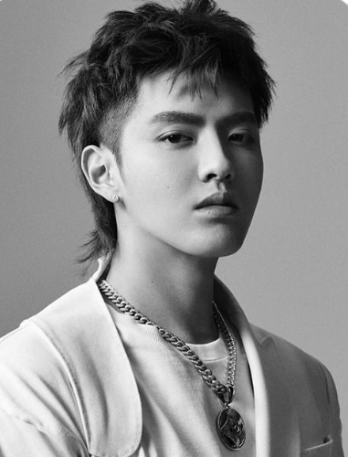 Side Part Mullet For Men