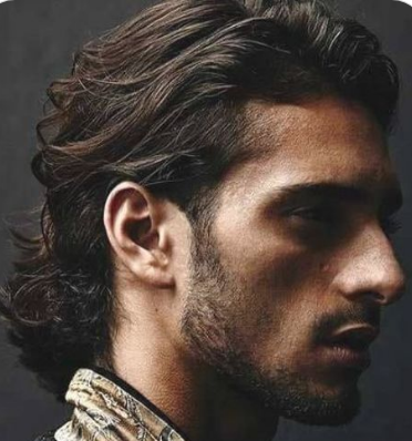 Medium Length Mullet For Men