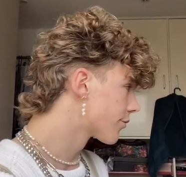 Curly Mullet For Men