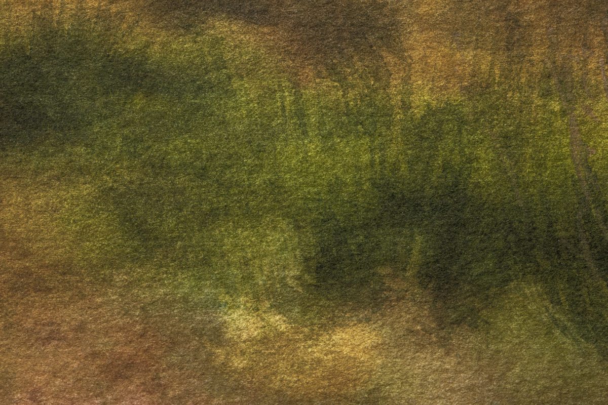 What Color Brown and Green Make Mixed? Hood MWR