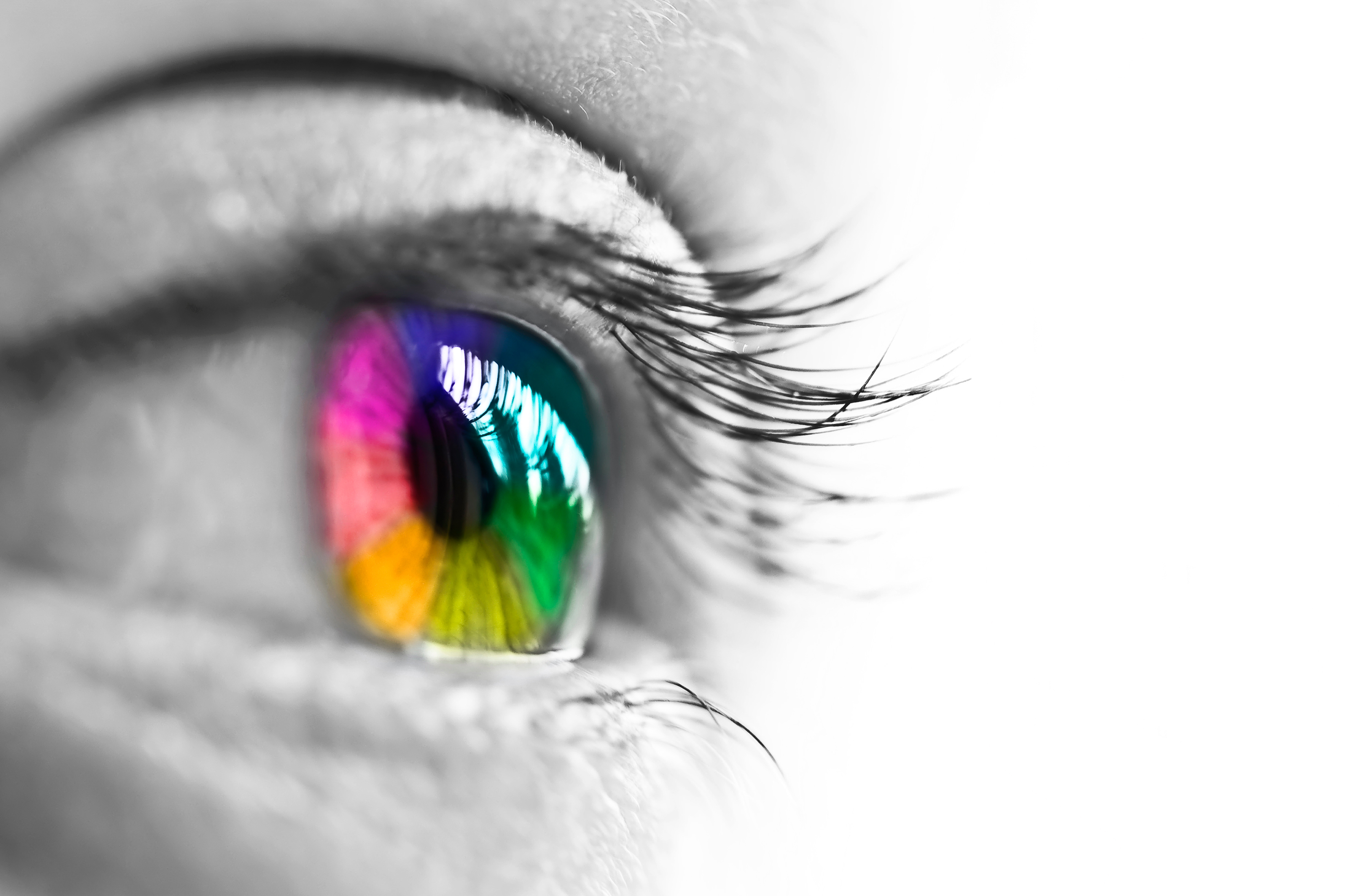 How Do Human Eyes Interpret Colors?