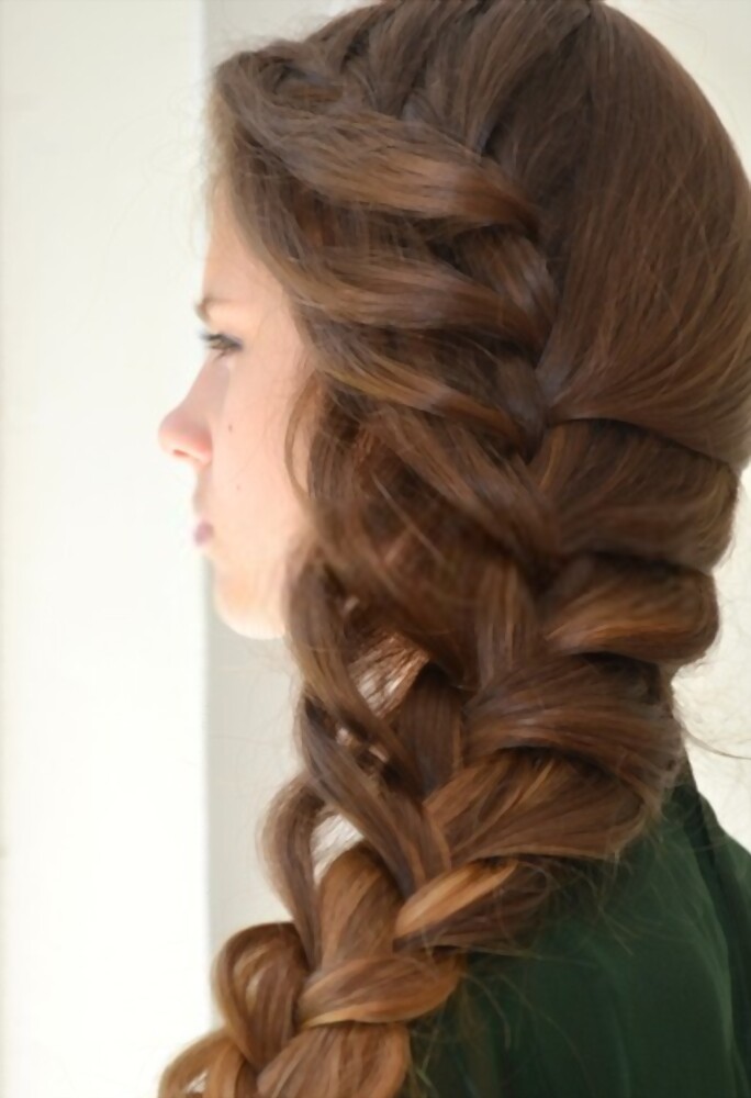 Elsa Braid For Beginners