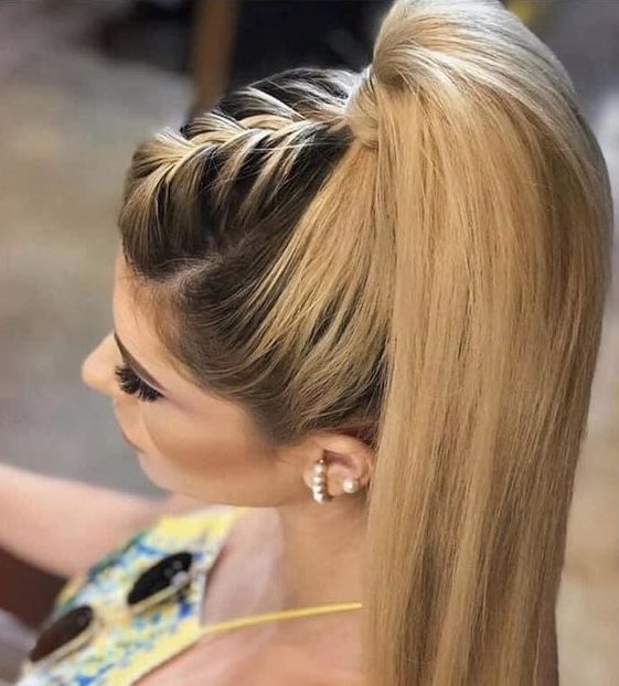 10 Marvelous Ideas Braid Layered Hair For Ladies Hood MWR