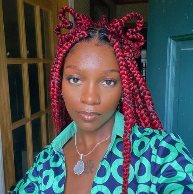 30 Stunning Red Box Braid HairStyle Ideas - Hood MWR