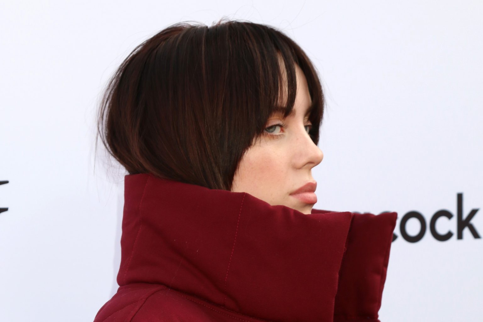 Top 20 Most Famous Singers In The World - Hood MWR