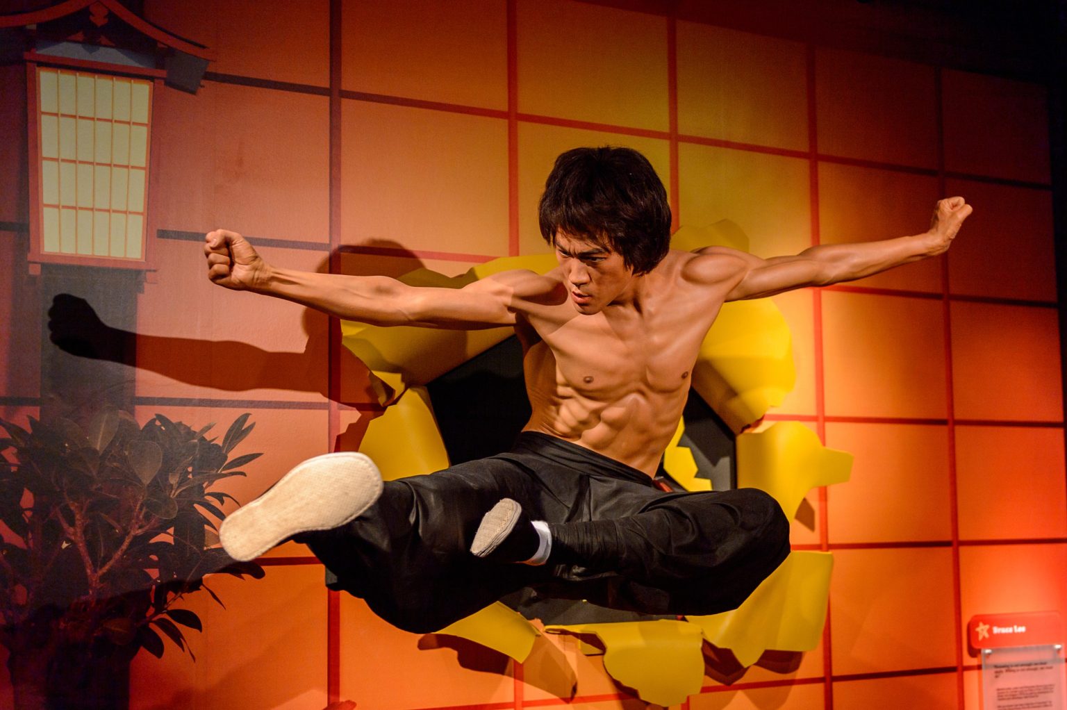 16 Most Famous Asian Actors In Hollywood Hood MWR