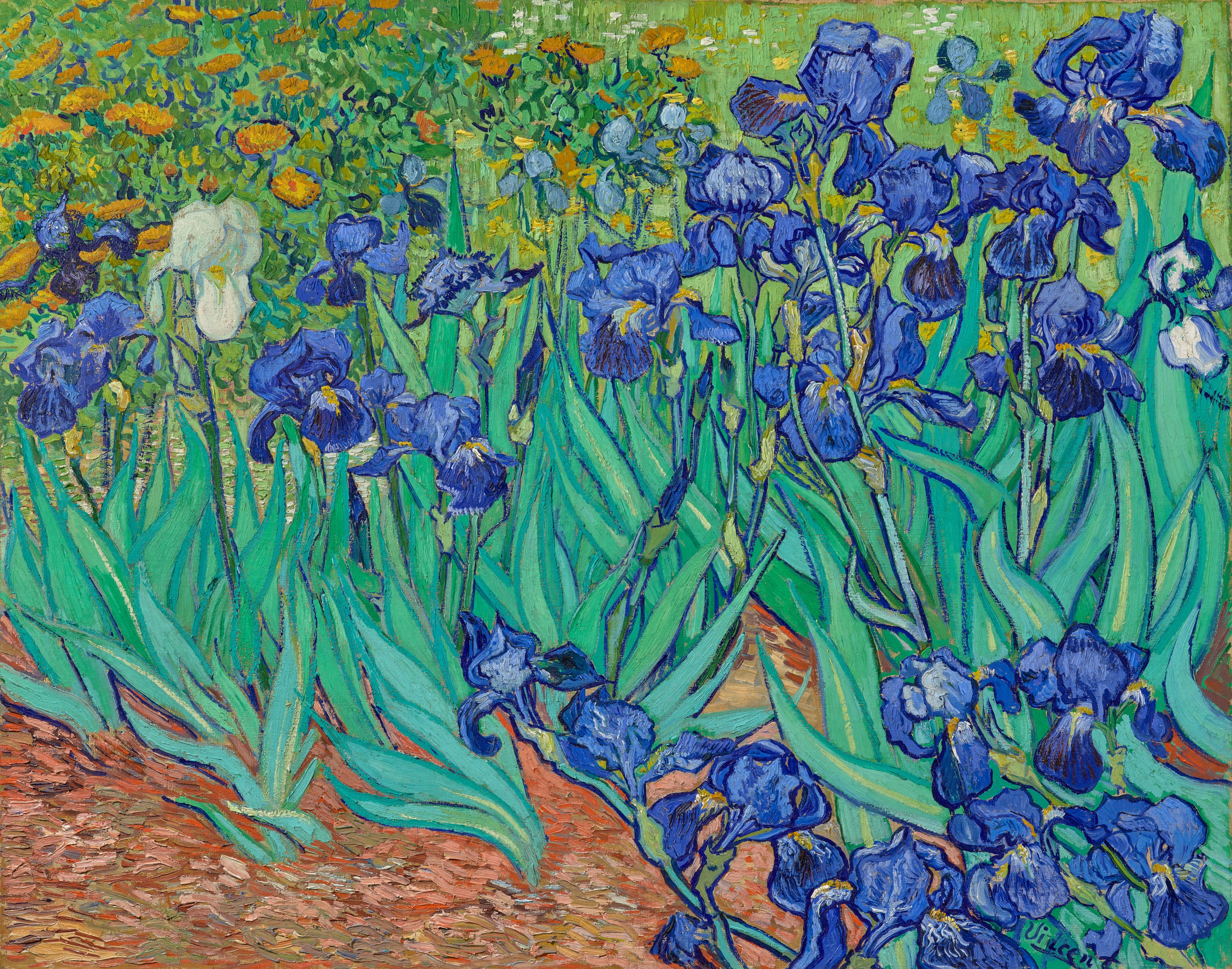 Irises