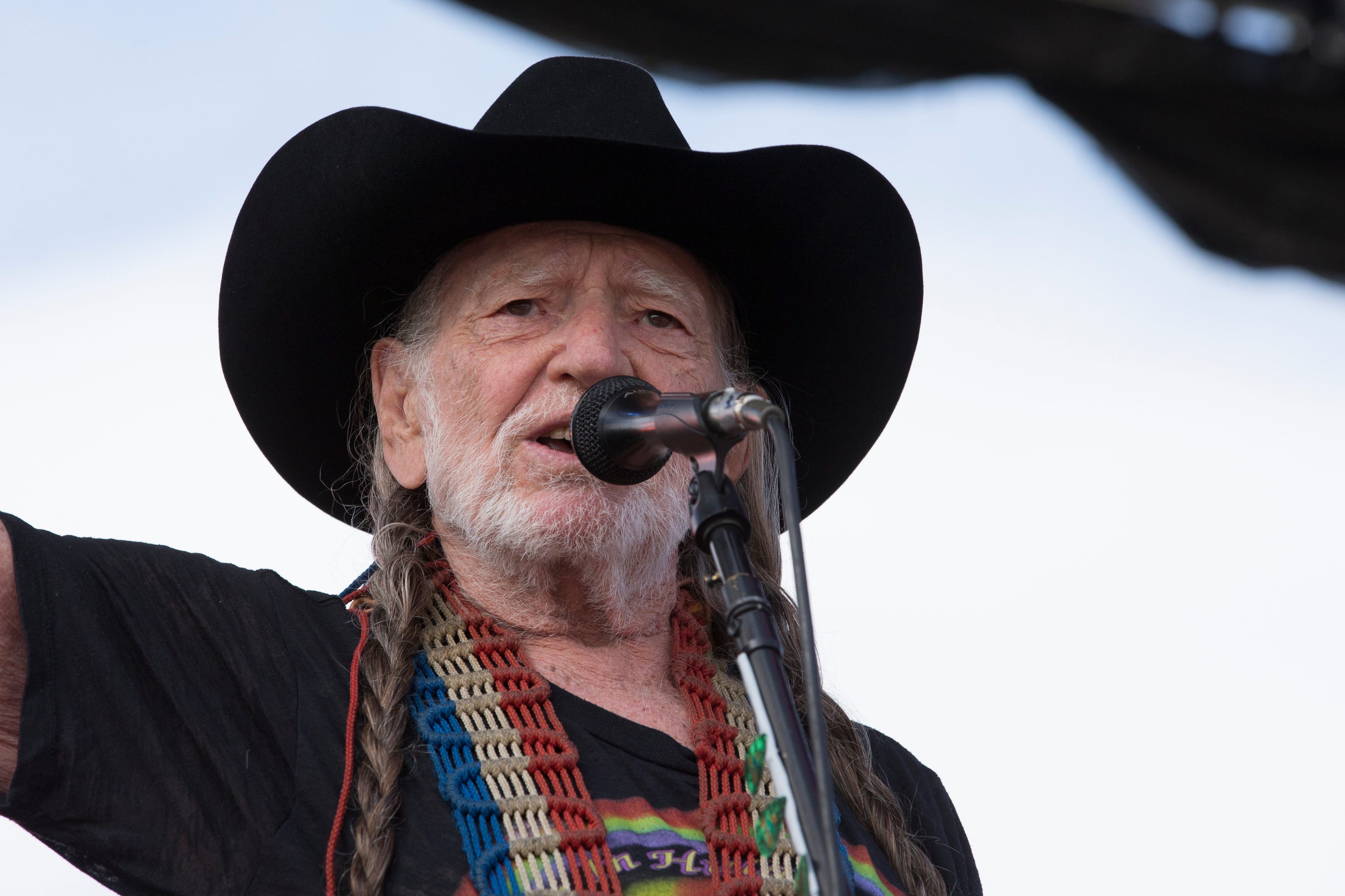 Willie Nelson