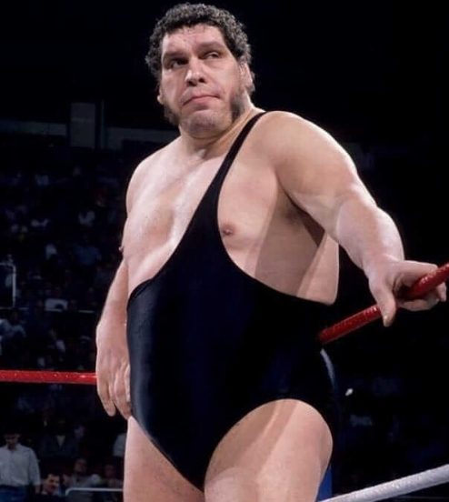 André The Giant