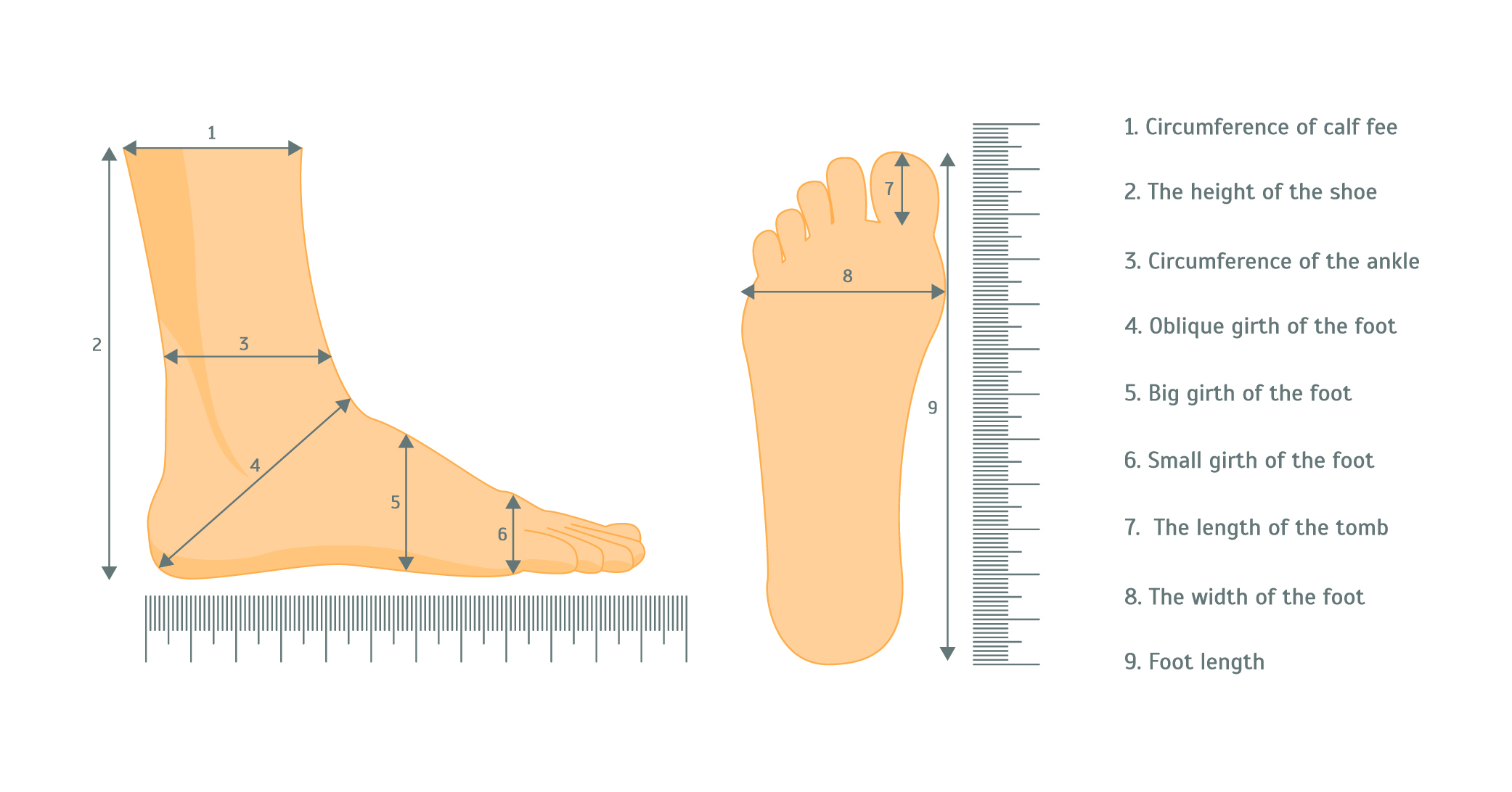 Foot Measurements