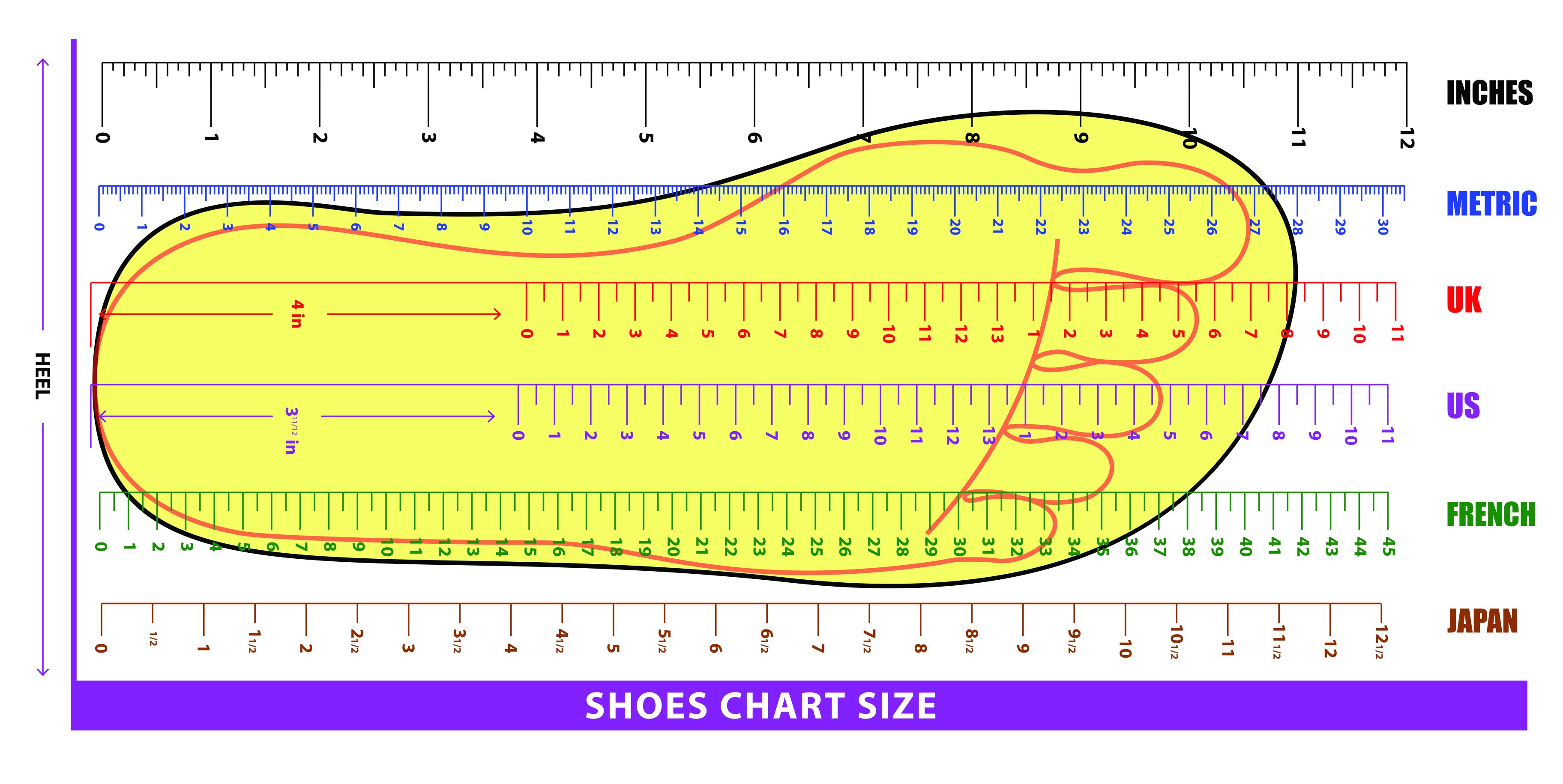 Shoe Size Chart and Foot Measurement