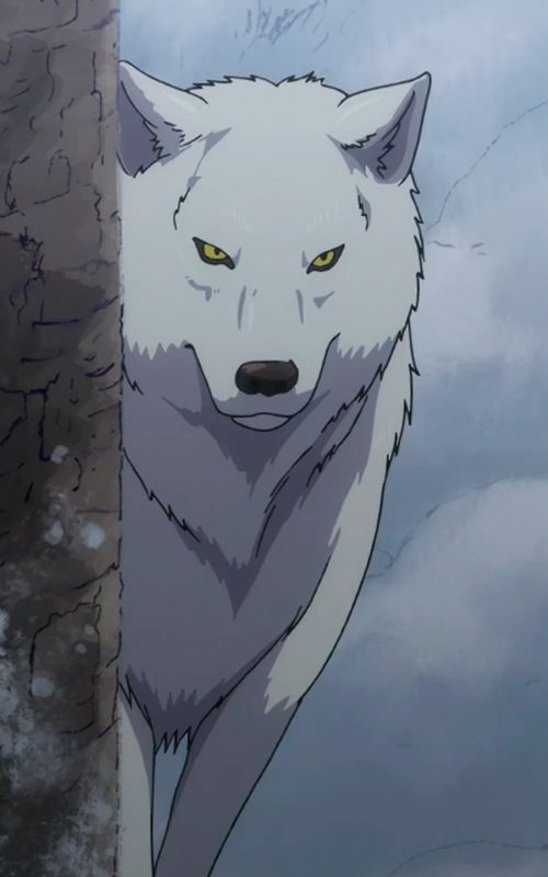 White wolf Anime by AnimeGrayWolf on DeviantArt